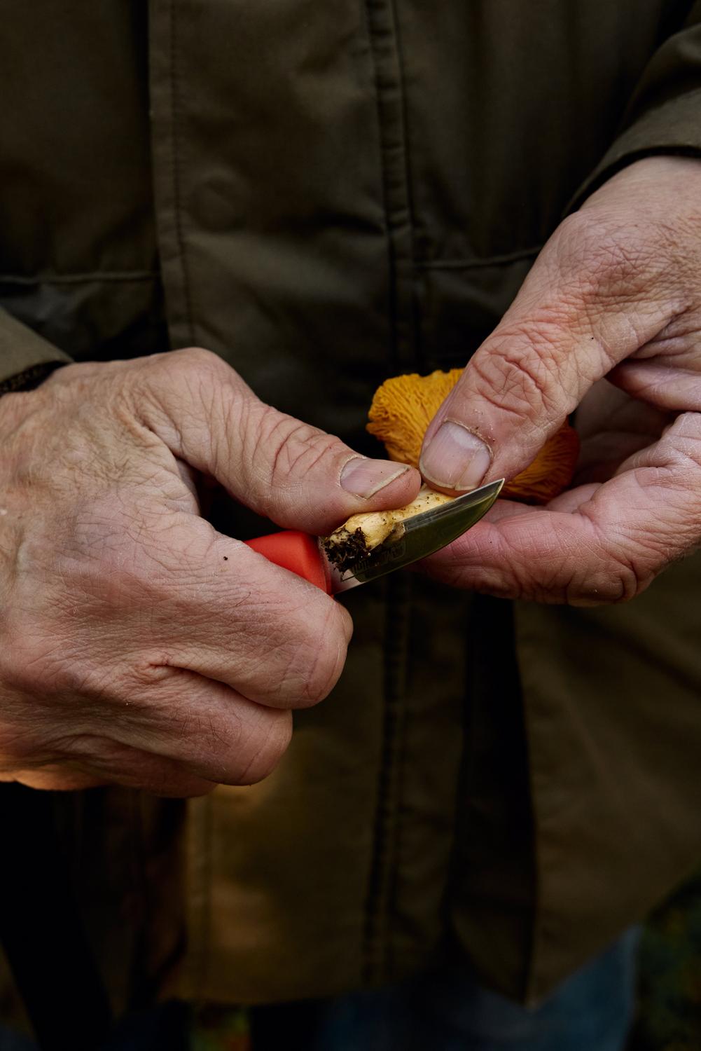 Marttiini Mushroom Knife Ruska