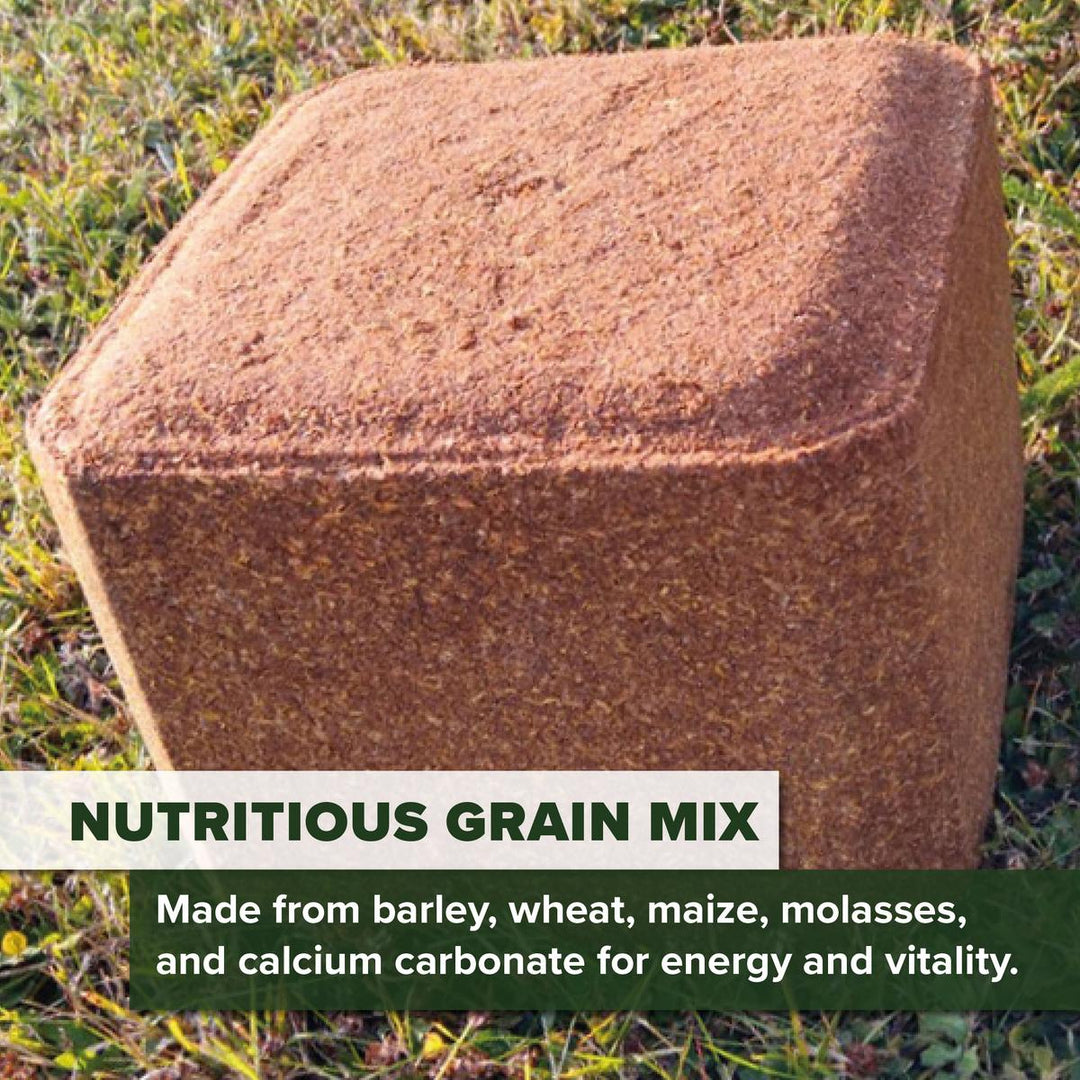 BushWear Pecker Block Pheasant Holding Grain Feed