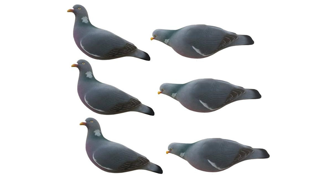 Final Approach FA-195004 Last Pass Pigeon Fully Flocked Decoys - 6 Pack