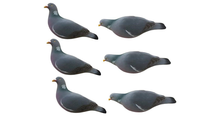 Final Approach FA-195004 Last Pass Pigeon Fully Flocked Decoys - 6 Pack
