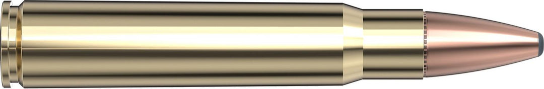 Hornady .376 Steyr 270gr SP-RP INTERLOCK Ammunition