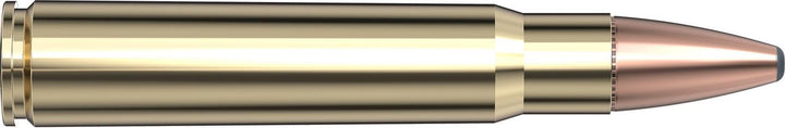 Hornady .376 Steyr 270gr SP-RP INTERLOCK Ammunition