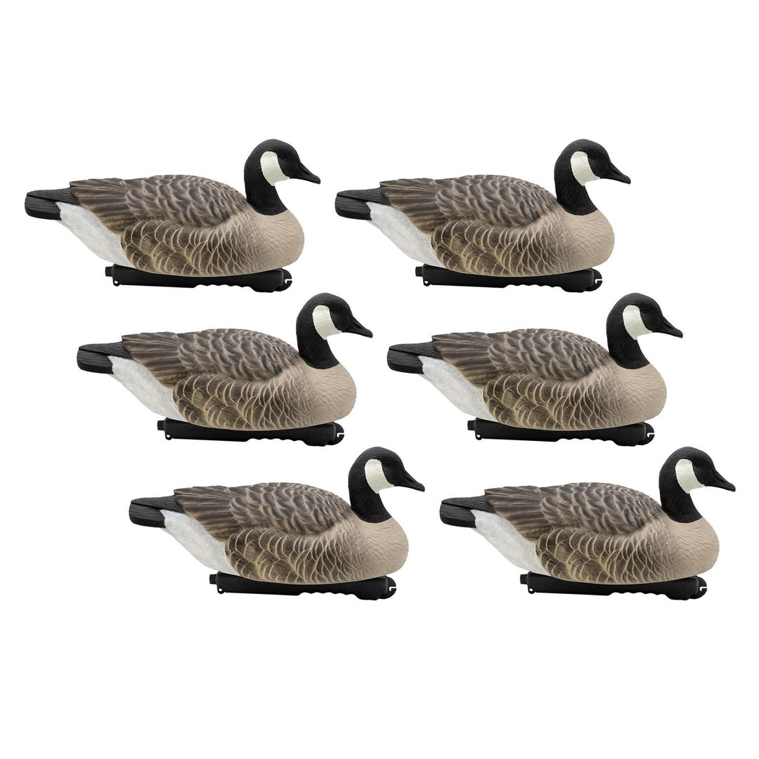 Final Approach LAST PASS CANADA GOOSE FLOATER - 6 PACK