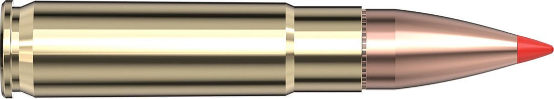 Hornady .300 Blackout 110gr V-MAX W/C Ammunition