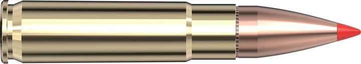 Hornady .300 Blackout 110gr V-MAX W/C Ammunition