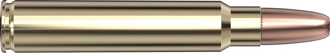 Hornady .375 Ruger 300gr DGX BONDED Ammunition