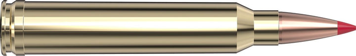 Hornady .300 Win Magnum 178gr ELD-X Ammunition