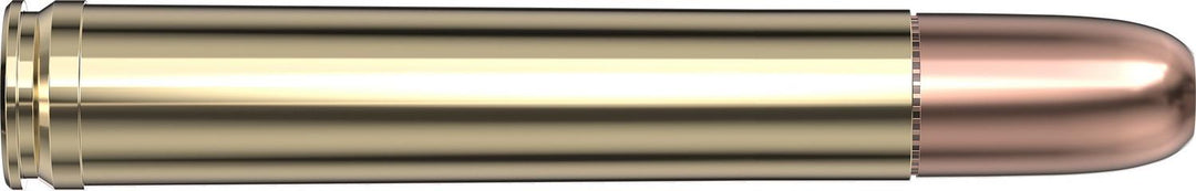 Hornady .458 Win Magnum 500gr DGS Ammunition