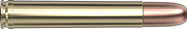 Hornady .458 Win Magnum 500gr DGS Ammunition