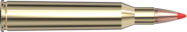 Hornady .220 Swift 55gr V-MAX Ammunition