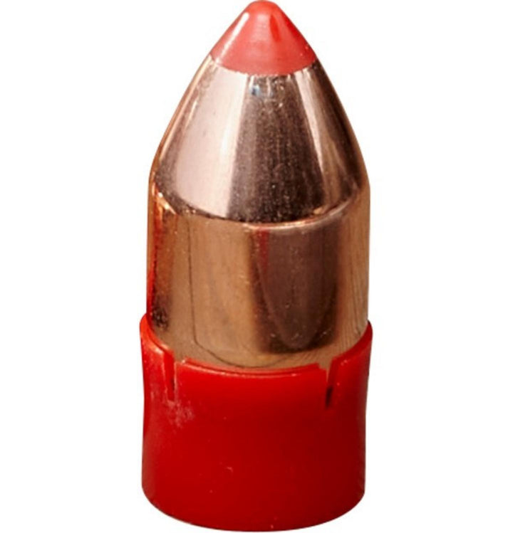 Hornady 50 Cal 290 gr FTX Bore Driver – view 2