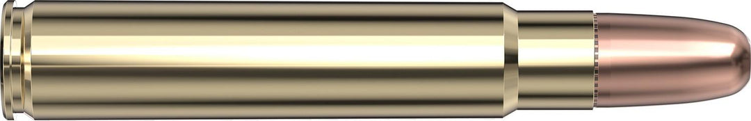 Hornady .416 Ruger 400gr DGS Ammunition