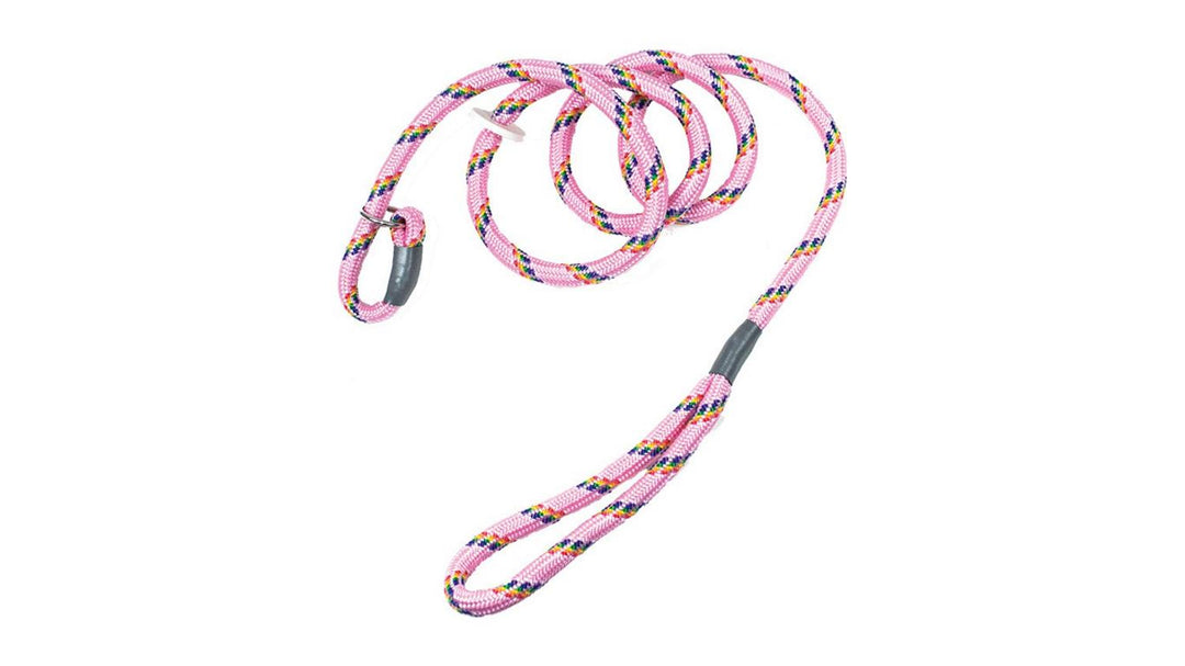Bisley Pink Multicoloured Dog Slip Lead