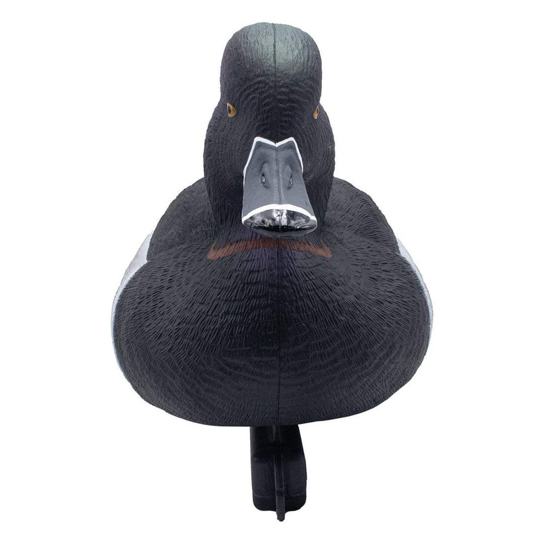 Final Approach LIVE Foam Filled Ring-Necks, 6 Pack