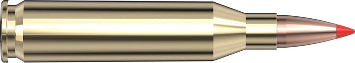 Hornady .243 Win 87gr SST Ammunition