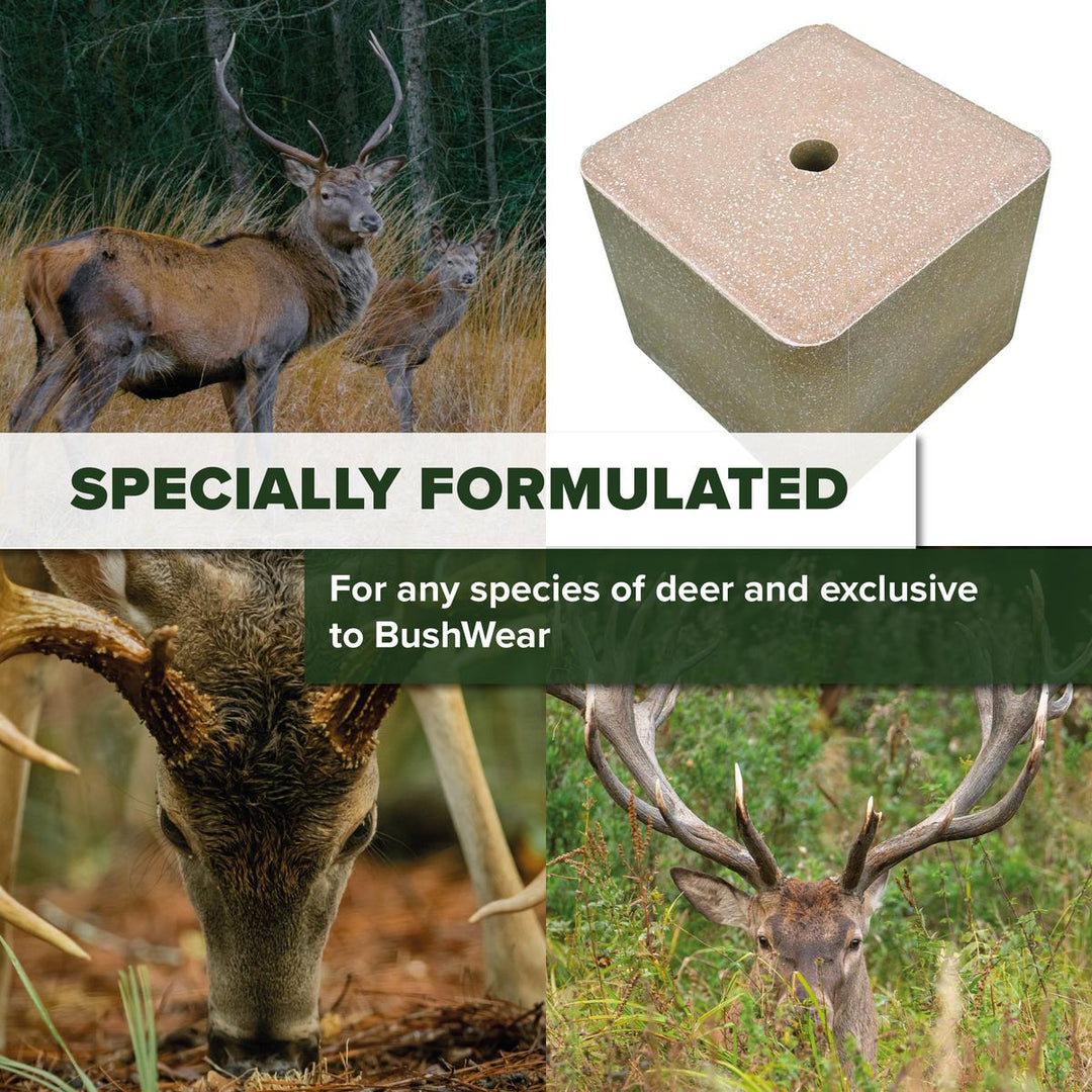 BushWear Box of 2 10kg Anis salt blocks Aniseed