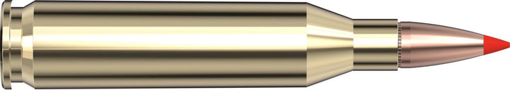 Loaded Hornady .243 Win 95gr SST cartridge lying horizontally on white, bright brass case with a copper bullet and a red polymer SST tip