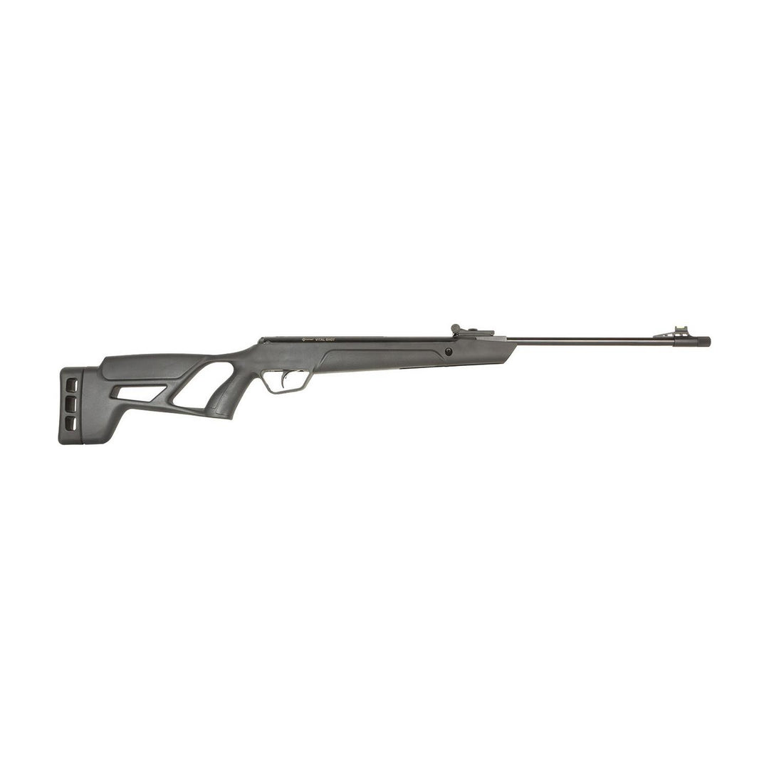 Bisley Crosman Vital Shot .22