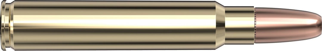 Hornady .375 Ruger 300gr DGS Ammunition