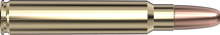 Hornady .375 Ruger 300gr DGS Ammunition