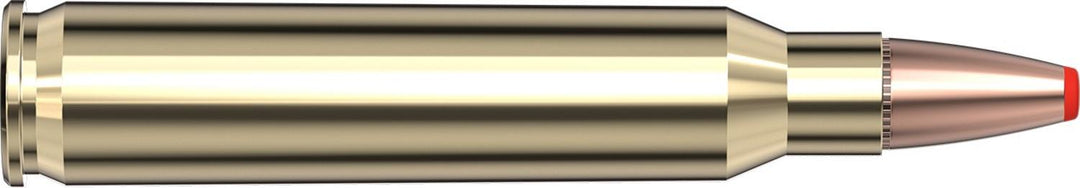 Hornady .223 Rem 55gr FTX Ammunition