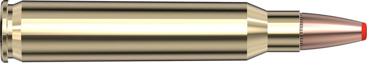 Hornady .223 Rem 55gr FTX Ammunition
