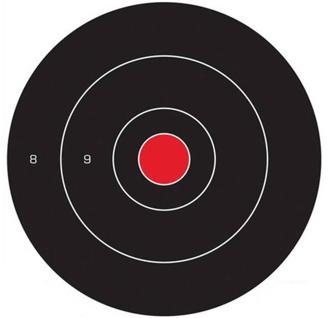 Birchwood Casey Dirty Bird 17.25 Inch Targets, Pack of 5