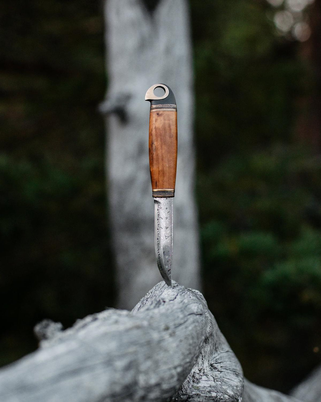 Marttiini Eagle Damascus