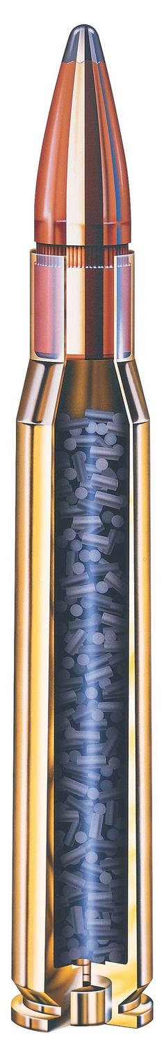 Hornady .450 Bushmaster 245gr INTERLOCK Ammunition – view 2