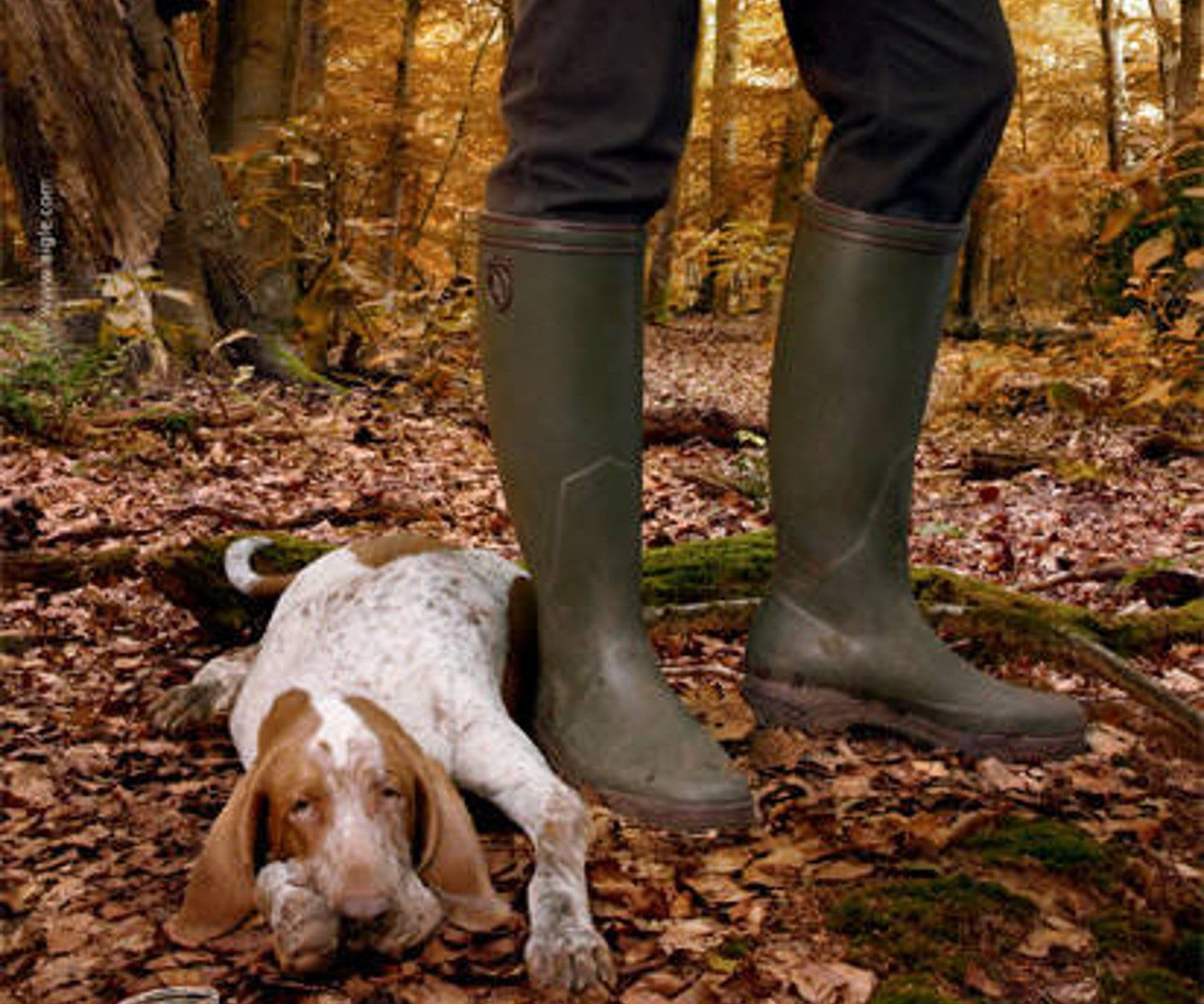 Aigle Parcours Vario Bronze – BushWear - Main Image