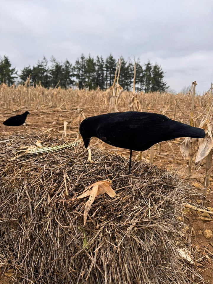 Final Approach FA-194002 Last Pass Fully Flocked Crow Decoys - 3 Pack