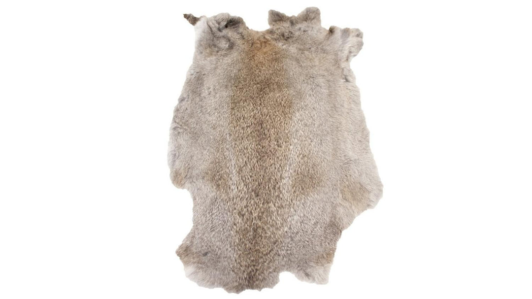 Bisley Rabbit Fur Skin for gundog training