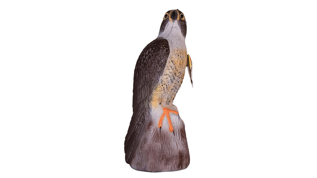 BIG CHEESE Falcon Decoy