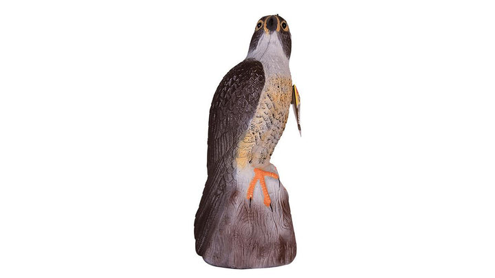BIG CHEESE Falcon Decoy