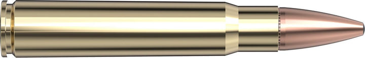 Hornady .376 Steyr 225gr SP-RP INTERLOCK Ammunition