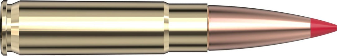 Hornady .300 Blackout 110gr CX Ammunition