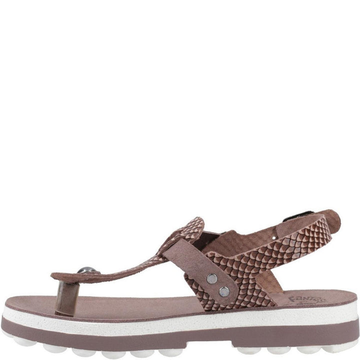Fantasy Marlena buckle-up leather sandal in Espresso Cobra, three-quarter view from above showing the snake-embossed toe post and stud detail