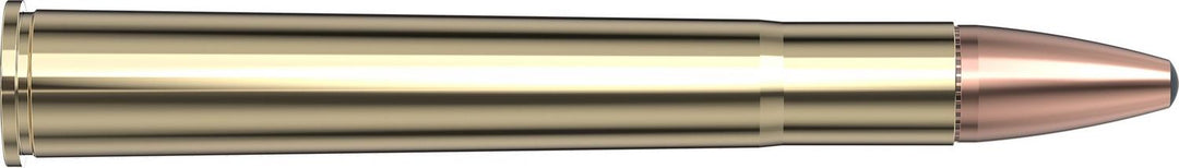Hornady 9.3x74R 286gr SP-RP INTERLOCK Ammunition