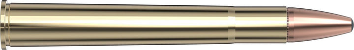 Hornady 9.3x74R 286gr SP-RP INTERLOCK Ammunition