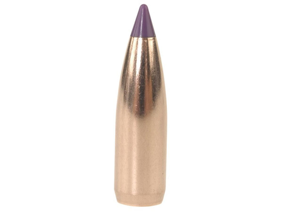 Nosler 6mm Ballistic Tip Varmint Bullets 70gr Box 100