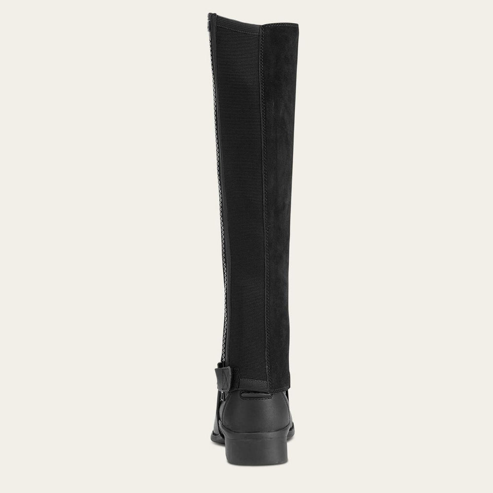 Ariat Scout Chap viewed from the rear, showing the black textured stretch gusset and zip, worn over a black paddock boot