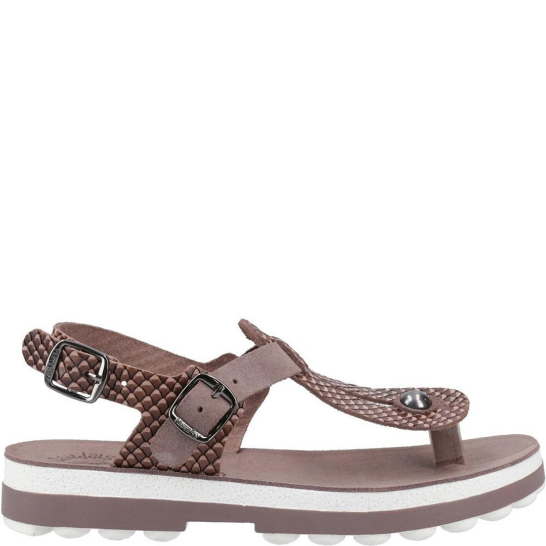 Fantasy Marlena buckle-up leather sandal in Espresso Cobra, opposite side view showing the heel strap and buckle closure