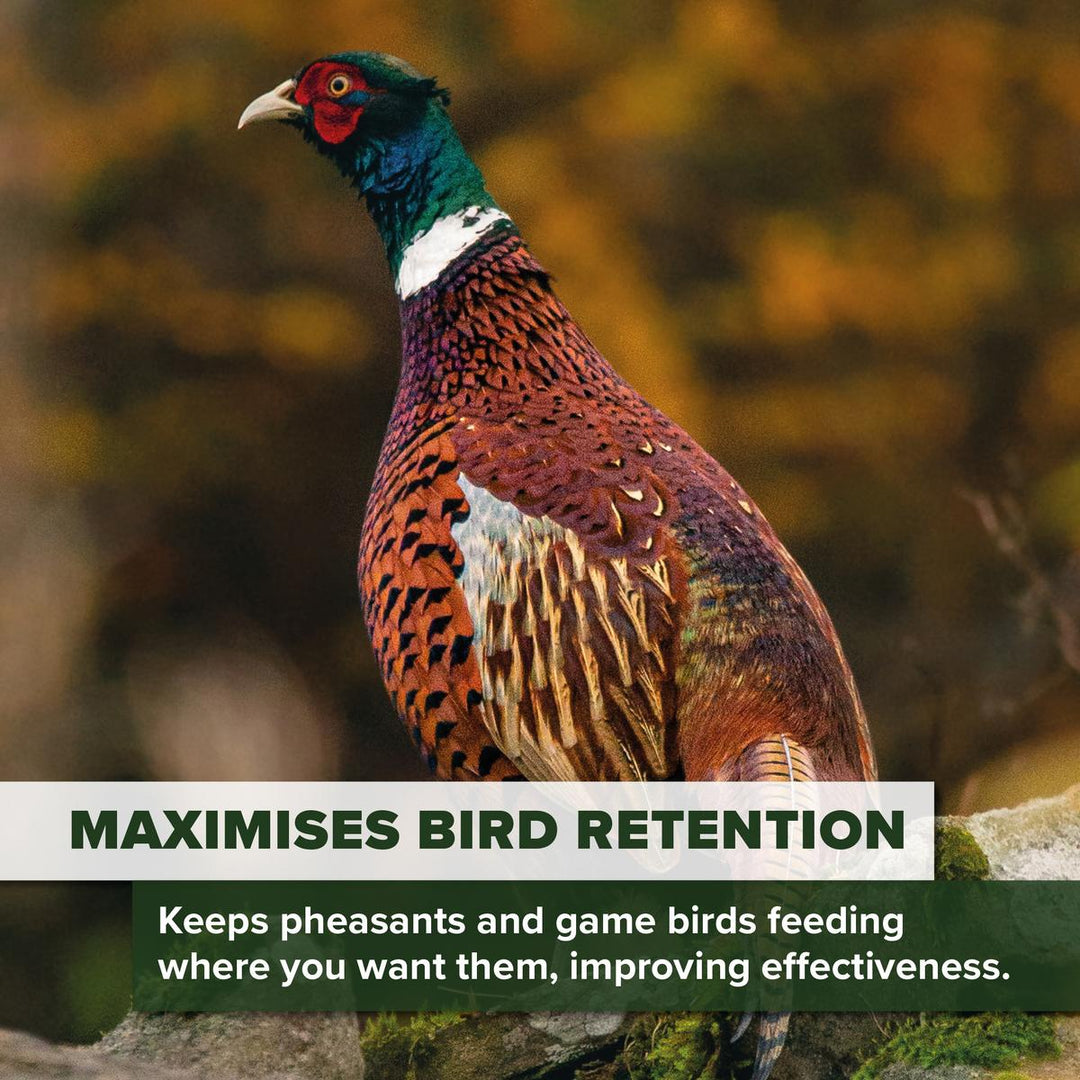 BushWear Master Bait Mix for Game Birds