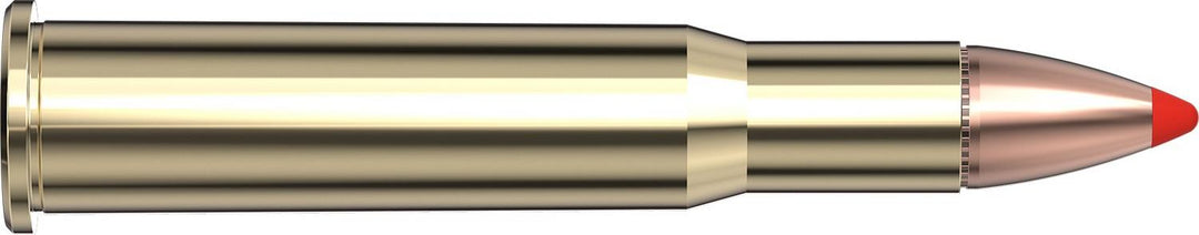Hornady .30-30 Win 160gr FTX Ammunition