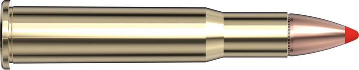 Hornady .30-30 Win 160gr FTX Ammunition