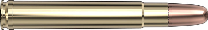 Hornady .416 Rem Magnum 400gr DGS Ammunition
