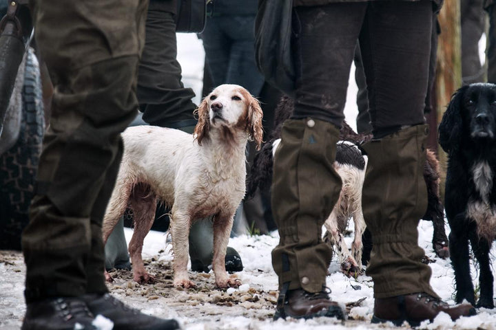 Seeland Buckthorn Gaiters Green