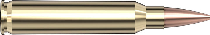 Hornady .223 Rem 75gr BTHP MATCH Ammunition