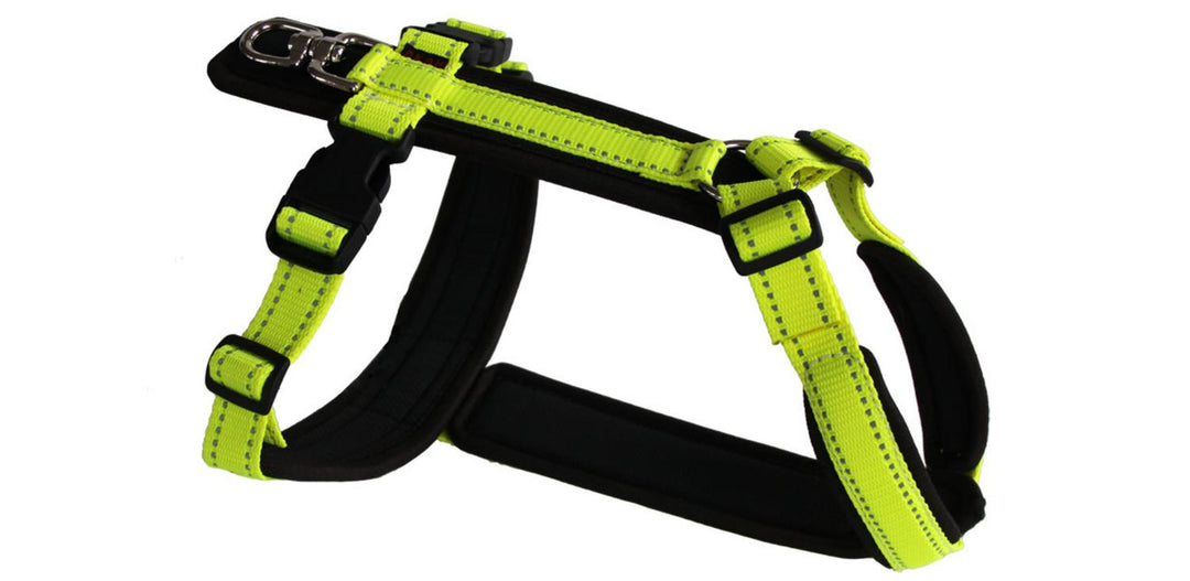 Harness Tracker neon yellow