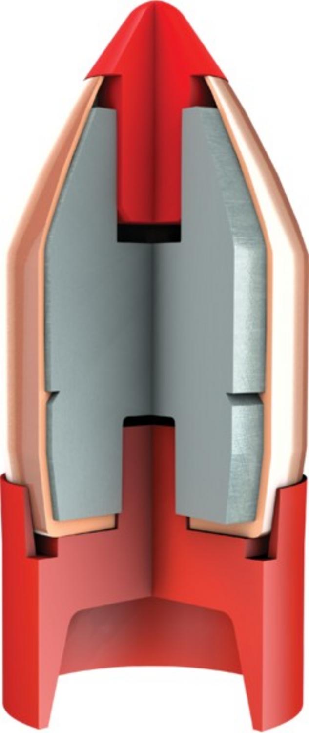 Hornady 50 Cal 290 gr FTX Bore Driver – view 3